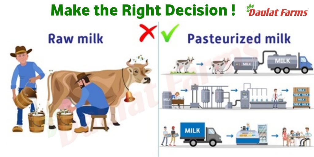 Daulat Farms Raw vs pasteurized milk Daulat Farms Raw vs pasteurized milk